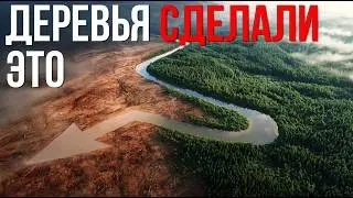 Как леса захватили Землю: невероятная история деревьев, динозавров, цветов и человека