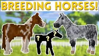 Breeding My Horses: 4 NEW FOALS! | Minecraft SWEM RRP