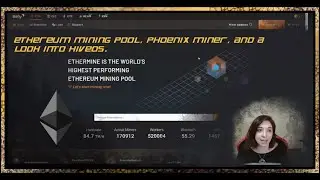 MY FIRST MINING RIG: PART 4 - MINING SOFTWARE. Phoenix Miner, Ethermine, and HiveOS.