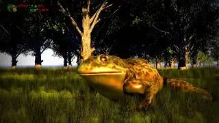 Bullfrog Dinner: The Scariest Event Ever!