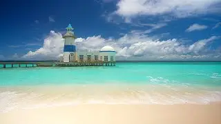 Tropical Paradise Found 🏝 Turquoise Water & Ocean Sounds. Relaxing Beach Waves in Maldives