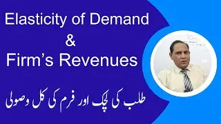 Elasticity of Demand and Firm's Total Revenues | zeatutor | Economics in Urdu/Hindi