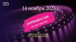 The stormy nights of the Kadykchansky couple