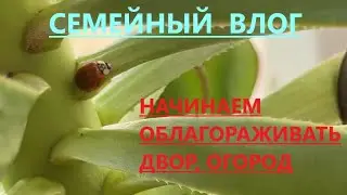 ЧТО ДЕЛАЕМ? ИЗДЕВАЕМСЯ НАД МУЖЕМ// ИСПОЛНЯЕМ ХОТЕЛКИ ЖЕНЫ))) ПРИЯТНОГО ПРОСМОТРА.