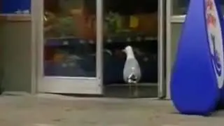 Умная птица