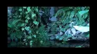 The Vancouver Aquarium - in 6 minutes