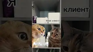 26 марта 2024 г.