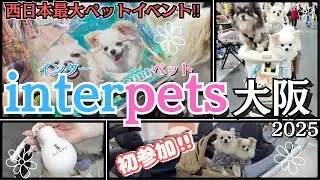 【インターペット大阪2025🐶】日本最大級のペットイベントが最高すぎた‼︎ 目的の物も購入できて大満足の1日☆
