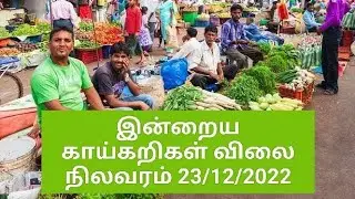 Today vegetable price 23/12/2022