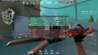 Valorant Server Down