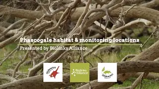 Phascogale habitat and monitoring locations - Glideways in the Melbourne Ark