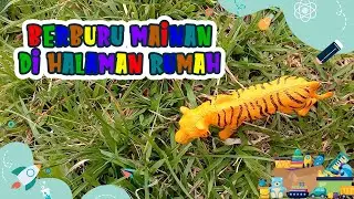 BERBURU MAINAN DI  RUMAH | mainan anak |mainan dino |