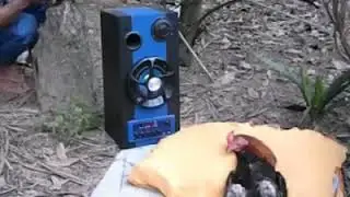 Para que vea lo que se siente