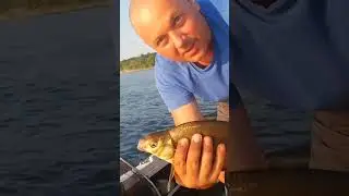 #рыбалка