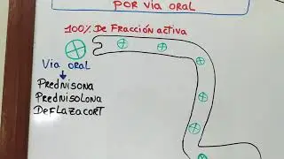 Farmacocinética y farmacodinamia de los corticoides por vía oral
