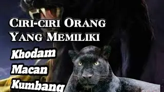 Ciri ciri fisik orang yg memiliki khodam harimau kumbang