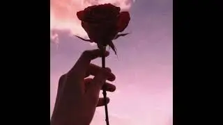 Ily - Sofi frozza | male version