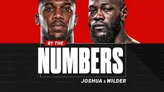 Will we EVER see ANTHONY JOSHUA vs. DEONTAY WILDER? | BY THE NUMBERS