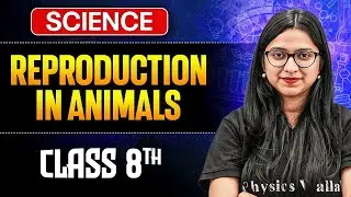 Reproduction In Animals Class 8 Complete Chapter || Science Class 8 || Ankita Ma'am