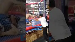 Министердин кызынын махабаты 4 жакында жаңы кино