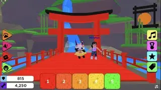 Играем в Roblox Pets show