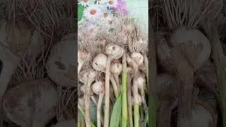 Часть вторая. Она и Он,