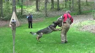 Lupo's IPO training for IPO1-Practicing the out