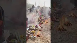 Chath puja