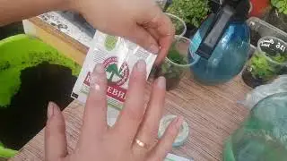 чем укореняю, рискую, не проверено