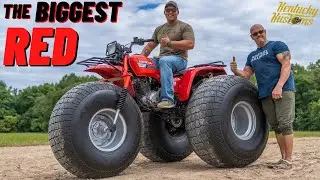 THE BIGGEST RED !!! 😱
