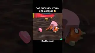 ПОДПИСЧИКИ СТАНОВЯТСЯ СОБАЧКАМИ 🥺 