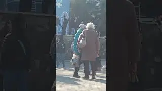 Городской парк. 10.03.2024г.Краснодар.