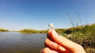 Putting pearl barley on a hook. Fishing.