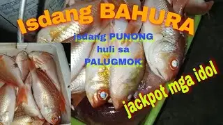 ISDANG bahura 