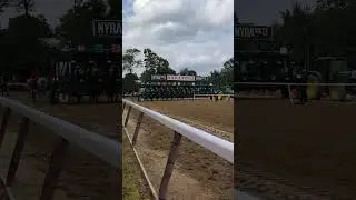 Saratoga Alabama stakes day R5 start!!!! #horse #horseracing #saratoga #otwl