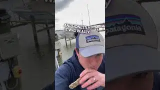 HUGE RAW OYSTER  Taste Test