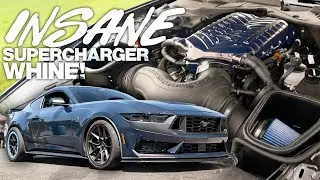 INSANE WHINE! - Whipple Competition Open Air Box Kit for 2024 Ford Mustang