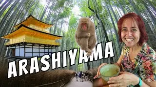 La FORESTA DI BAMBù in GIAPPONE: ARASHIYAMA, Tempio d’oro e Parco delle Scimmie
