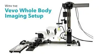 Whole Body Imaging Setup by FUJIFILM VisualSonics