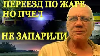 Кочевка пасеки на липу Борода из пчёл Жара на пасеке Обустройство точка