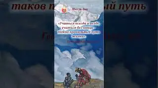 Мысль дня