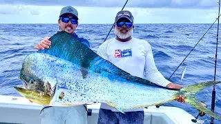 *GIANT* BLUE MAHI - Catch Clean and Cook - Fish Ceviche