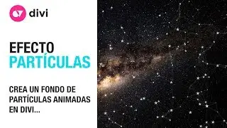 Crear un fondo de partículas animadas en Divi y WordPress