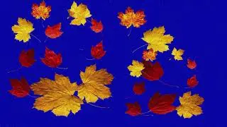 green screen effects