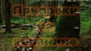 ПРИЗРАКИ НА КОПАНИНЕ! Мистика на местах боев, необъяснимые происшествия с черными копателями