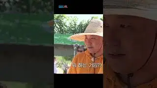엉망진창 웹작가족, 이건 그냥 지게라구요 #shorts #SBSFiL #축제로구나