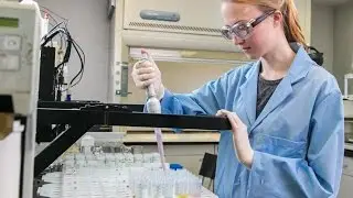 Occupational Video -  Food Scientist