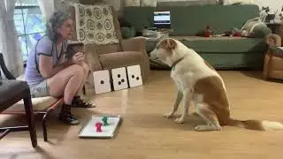 counting up to 4