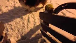 Puppe laskee liukumäkeä