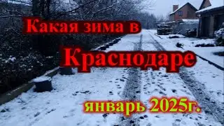 Какая зима в Краснодаре 2025 г.